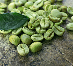 Green Coffee Bean Extract